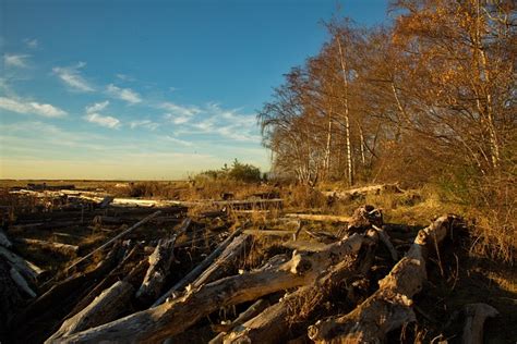 Luonnollinen Maisemia Ilmainen Valokuva Pixabayssa Pixabay