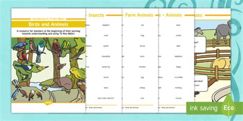 Introduction to Te Reo Māori Birds and Animals Booklet