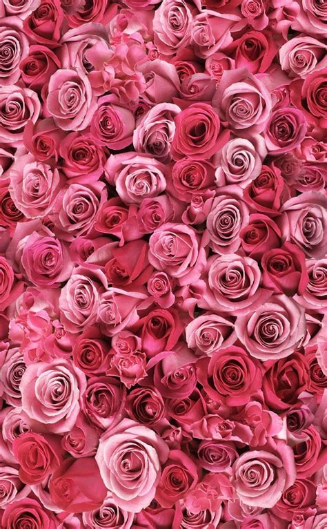 Roses Wallpaperlock Screenbackground Pink Glitter Wallpaper Pink