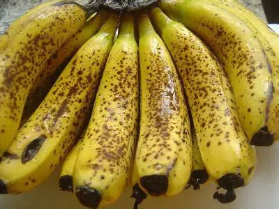 Banana Nanica Faz Mal Para Bebê Mundo Ecologia