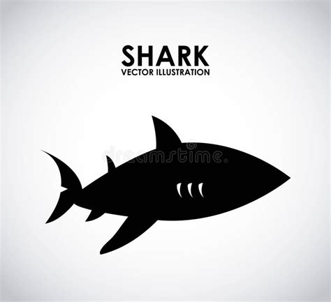 Shark design stock vector. Illustration of nature, animal - 45498871