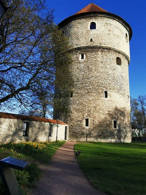 Torre De Artillería Kikindekok Del Muro Defensivo Medieval De La Ciudad