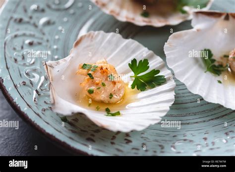 Seared Scallops Hi Res Stock Photography And Images Alamy