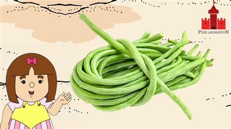 Mengenal Kacang Panjang Puri Animation Youtube