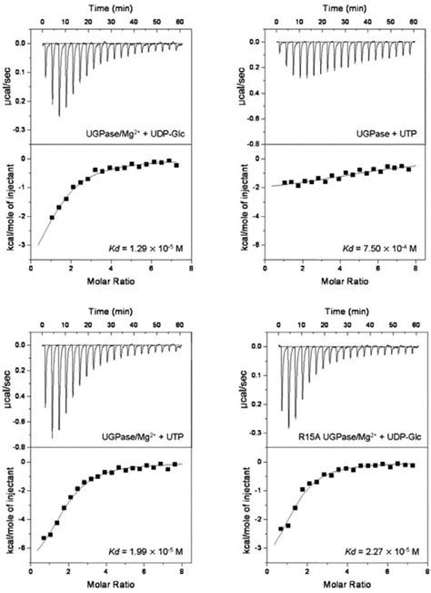 Isothermal Titration Calorimetry Itc Analyses Of Ugpase With Various