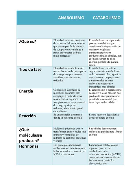 Metabolismo Anabolismo Y Catabolismo Cuadro Comparativo Kulturaupice ...