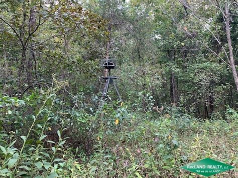 Ac Hunting Tract With Small Cabin In Great Location Hunting Land