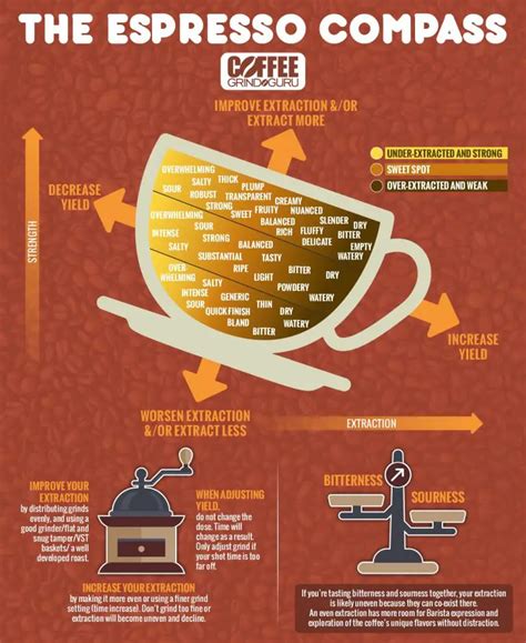 The Espresso Compass Infographic Coffee Grind Guru