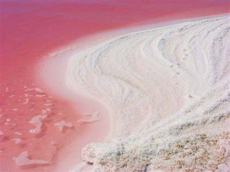 See This Dusty Rose Lake In British Columbia Canada The Motherland