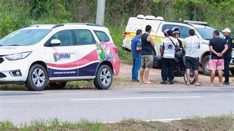 Cinco Muertos Entre Ellos Un Niño Al Caer Una Avioneta En Un área