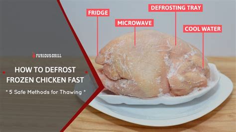 How To Defrost Chicken Fast Best Way To Thaw Chicken Meat