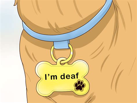 4 Ways to Use Hand Signals to Train a Dog that is Deaf - wikiHow