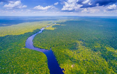 Floresta Equatorial Fauna Flora Clima Mapa Brasil Escola