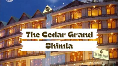 The Cedar Grand Shimla 4 Star Hotel Best Affordable Hotel In