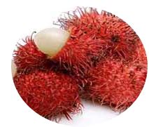 fruithealthfacts, fruits information, fruits and vegetables: Rambutan ...