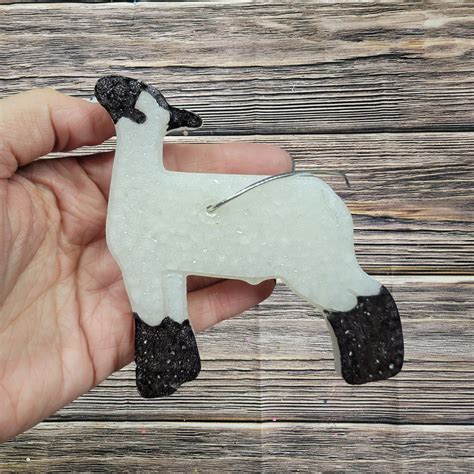 Sheep – CRCS Wholesale