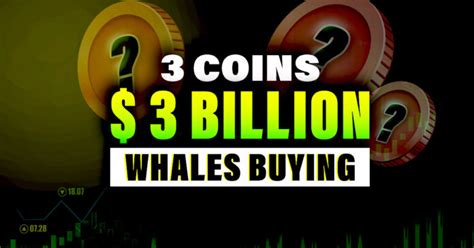 Why Crypto Whales Are Buying These Altcoins Altcoin Buzz