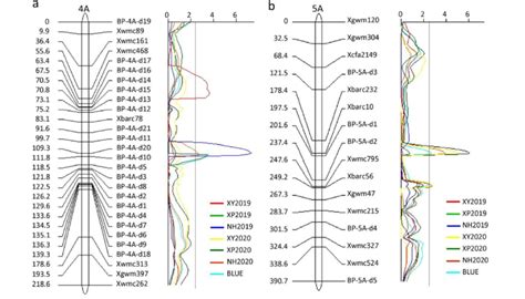 Genetic Linkage Map Showing Qtl On Chromosomes 4a A And 5a B For