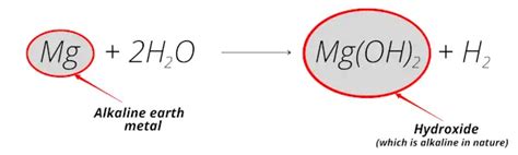 Magnesium Reaction With Water / Hydrochloric acid | Magnificent molecules | Education in ...