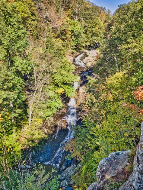 Whiteoak Canyon & Cedar Run Falls Loop - The Hoppy Hikers