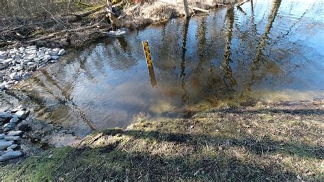 Langer See SpreeWasser N Forschungsprojekt Der TU Berlin