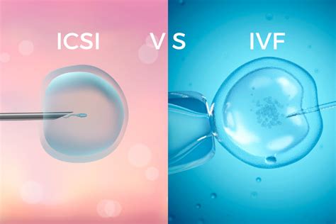 Ivf Vs Icsi What Is The Difference In Vitro Fertilization