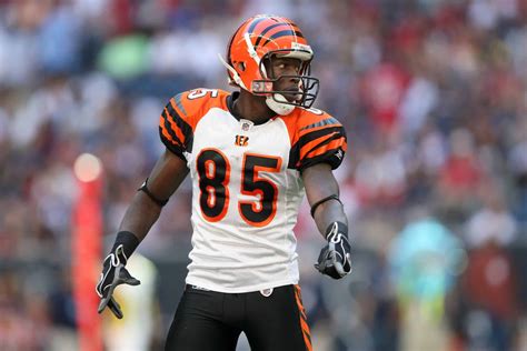 The Life And Career Of Chad "Ocho Cinco" Johnson