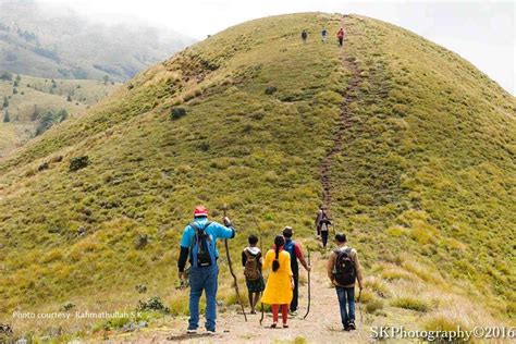 Munnar Travel Guide Eravikulam National Park Tourism Cutekerala