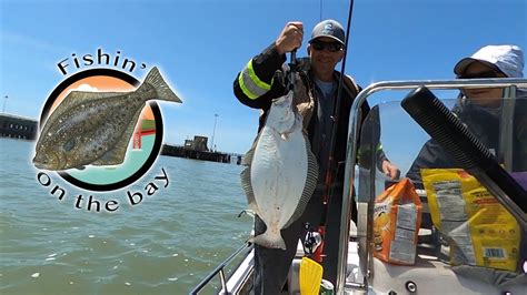 Halibut And Striper Extravaganza San Francisco Bay Youtube