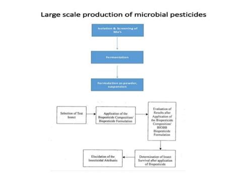 Production Of Biopestcides