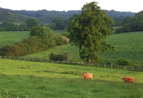 farming  protected landscapes kent downs