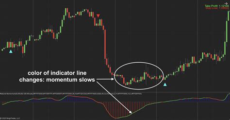 Natural Momentum Indicator For Ninjatrader Indicator Vault