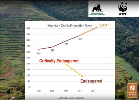 Western Lowland Gorilla Habitat Map