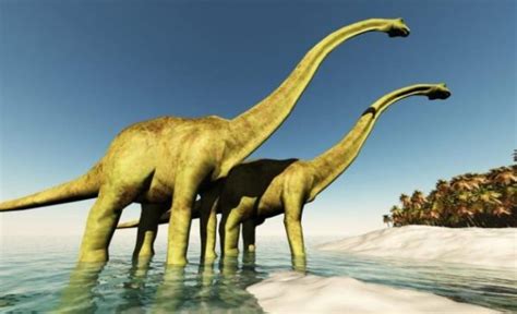 Dinosaurios Herbívoros De Cuello Largo Ciencias Naturales Online