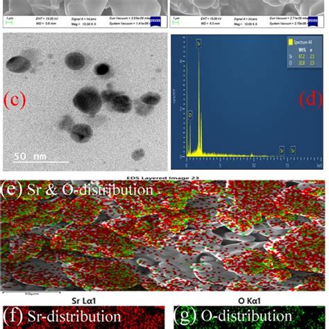 A And B Fe Sem Images Of Bio Synthesized Sro Nps C Tem Image Of