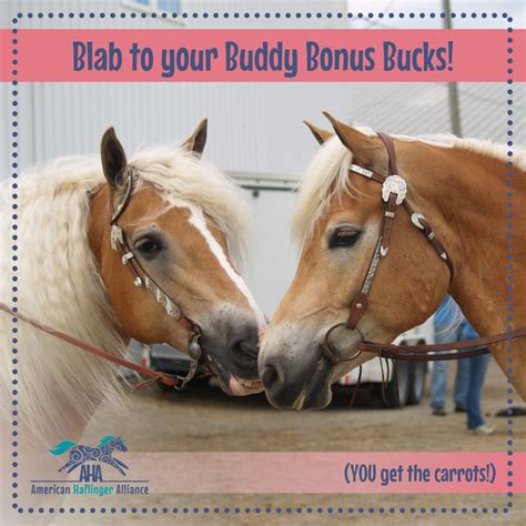 Blab To Your Buddies For Bonus Bucks American Haflinger Alliance