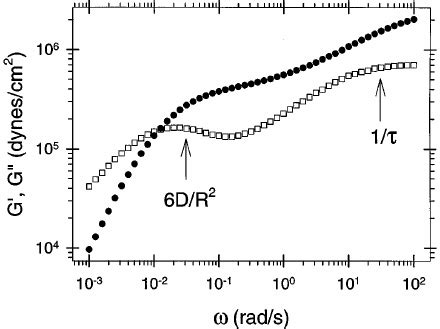 Frequency Dependence Of Storage Modulus G Filled Circles And Loss