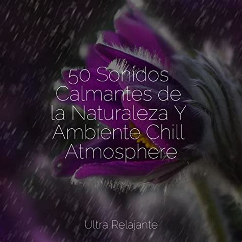 50 Sonidos Calmantes De La Naturaleza Y Ambiente Chill Atmosphere By