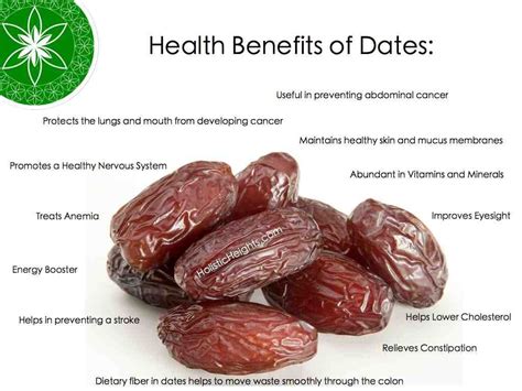 Dates Are One Of The Sweetest Fruits And Come In Different Varieties