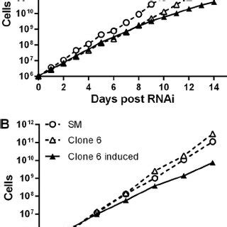 Effects Of TbSPPS RNAi On Cell Growth Of The Procyclic Form A And