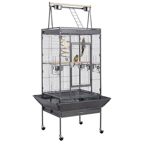 Best Bird Cages For Parrots Top Choices For Happy Healthy Birds Vet