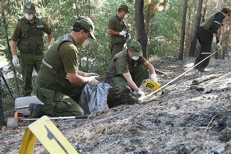 Curso Extinción de Incendios y Salvamento. Certificado de Profesionalidad - Aulaed