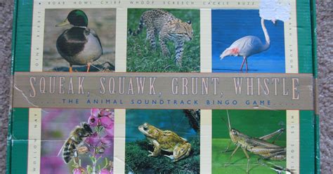 Squeak Squawk Grunt Whistle The Animal Soundtrack Bingo Game