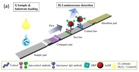 Chemiluminescence Vs Absorbance Vgzabel