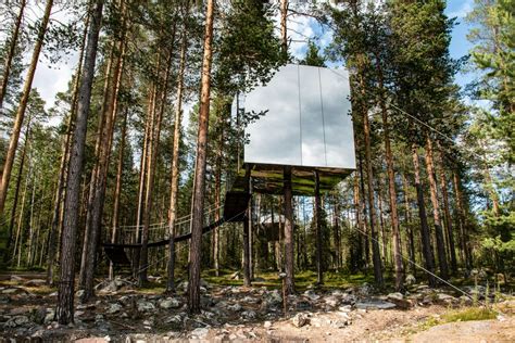 Stockholm En Treehotel In Zweden Compleet Doets Reizen