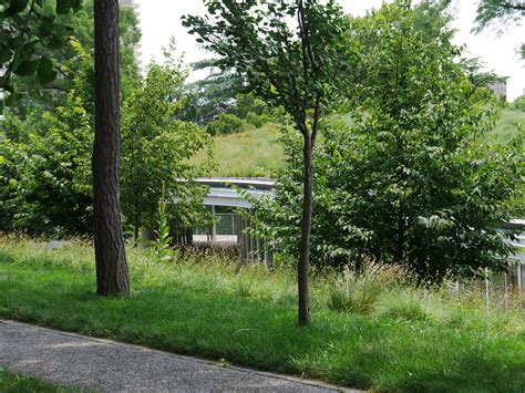 Locals are split on the new Green Cemetery Brooklyn visitor rules 33