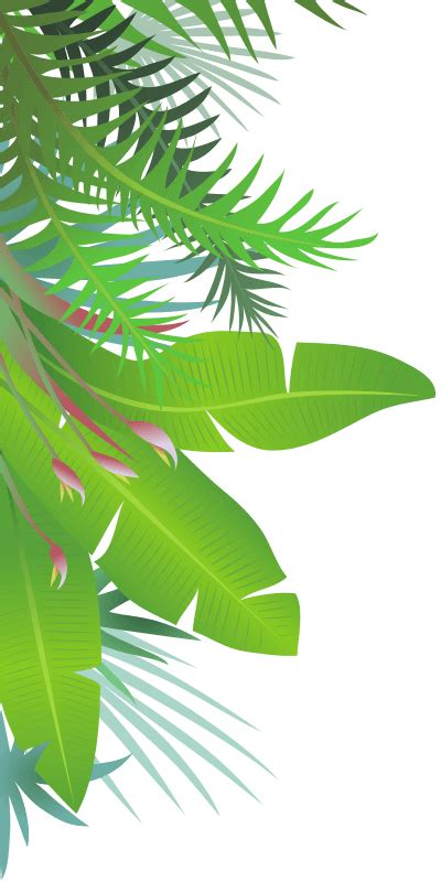 Jungle Leaves Jungle Leaves Illustration Free Transparent Png