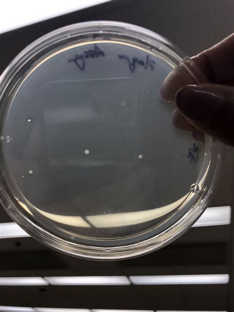 soil level on washing machine 3