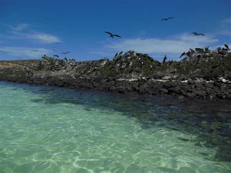 gulf  california gulf  california