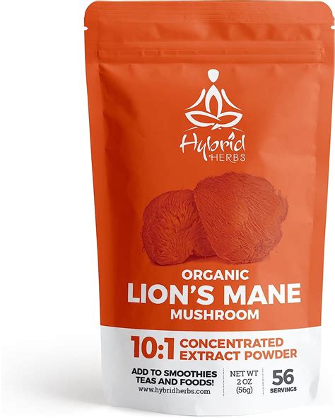 Nootropic Research Will Soon Validate This Lions Mane Poweder - RYZE Superfoods